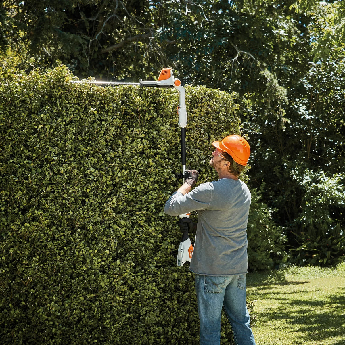 STIHL HLA 56 Cordless Long Reach Hedge Trimmer